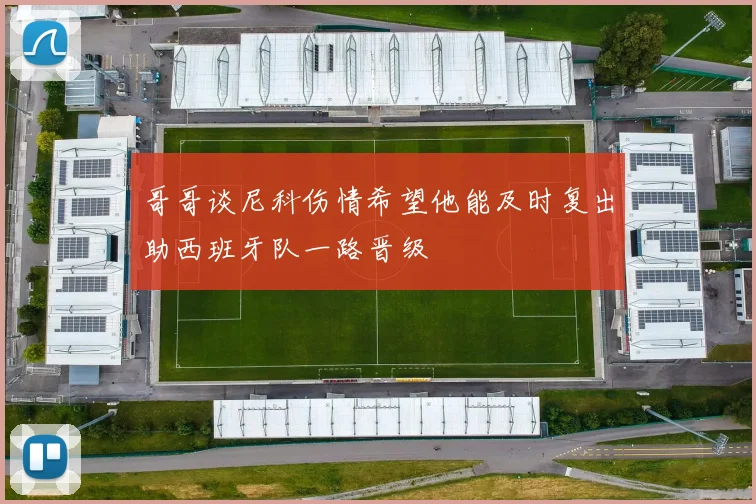 哥哥谈尼科伤情希望他能及时复出助西班牙队一路晋级